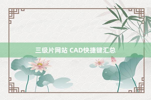 三级片网站 CAD快捷键汇总
