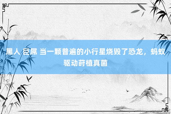 黑人 巨屌 当一颗普遍的小行星烧毁了恐龙，蚂蚁驱动莳植真菌