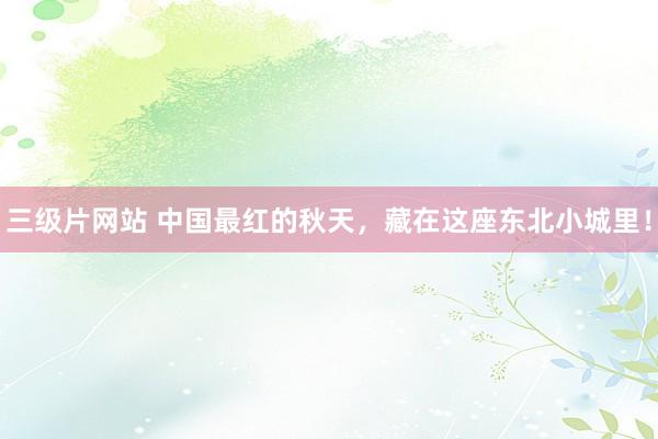 三级片网站 中国最红的秋天，藏在这座东北小城里！