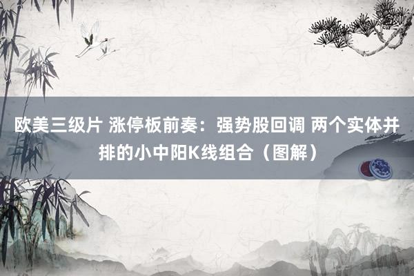 欧美三级片 涨停板前奏：强势股回调 两个实体并排的小中阳K线组合（图解）