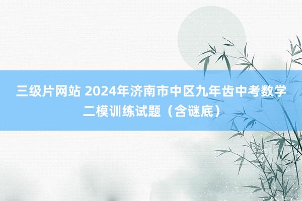 三级片网站 2024年济南市中区九年齿中考数学二模训练试题（含谜底）